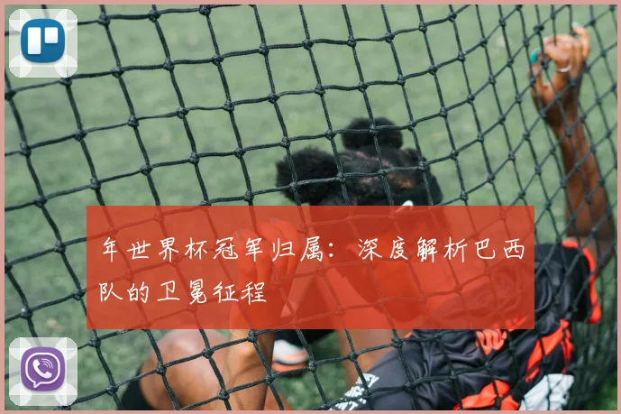 年世界杯冠军归属：深度解析巴西队的卫冕征程