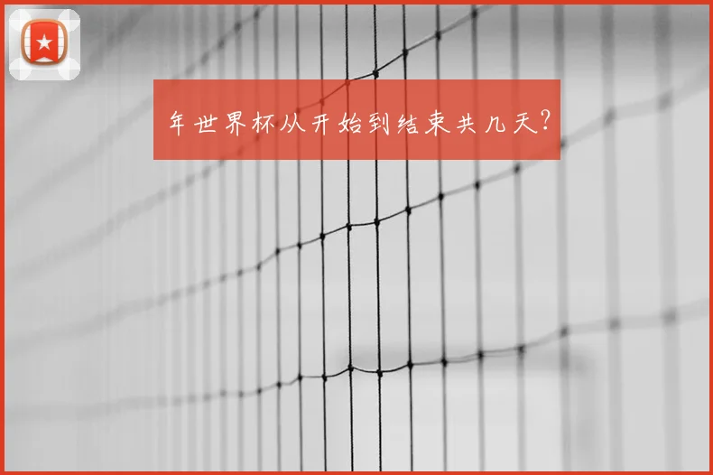年世界杯从开始到结束共几天?