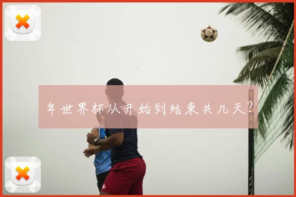 年世界杯从开始到结束共几天?