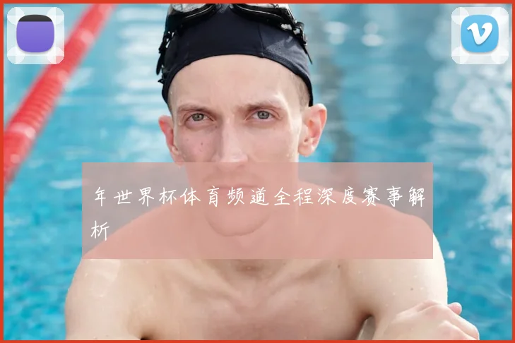 年世界杯体育频道全程深度赛事解析