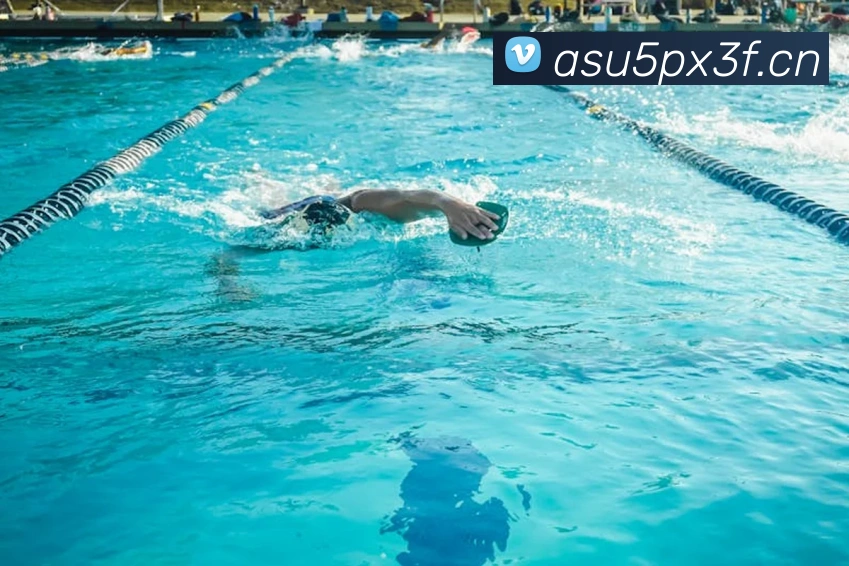 bsprot体育官网登录平台生态图